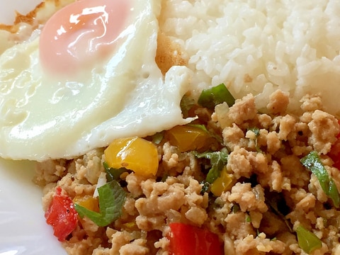 子供も食べられる♫ウチのガパオライス